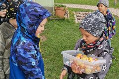 IMG_20221004_112239