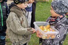 IMG_20221004_112253