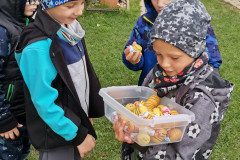 IMG_20221004_112303