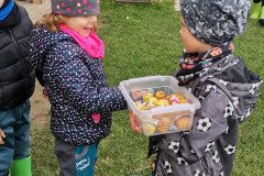 IMG_20221004_112347