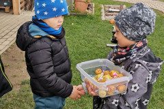 IMG_20221004_112401