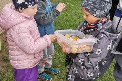 IMG_20221004_112443