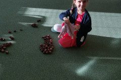 IMG_20221006_084545