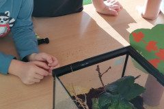 IMG_20221006_084705