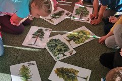 IMG_20221006_090632