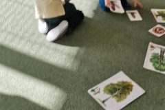 IMG_20221006_094804