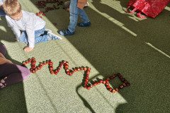 IMG_20221006_095323