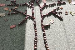 IMG_20221007_093530