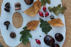 IMG_20221007_123541
