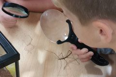 IMG_20221024_074046