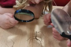 IMG_20221024_074100