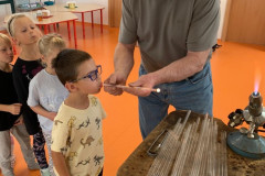 70595a55-2e8f-4ade-8c60-9e21bf254d53