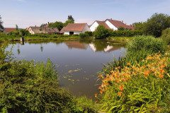IMG_20220622_114709
