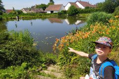 IMG_20220622_114717