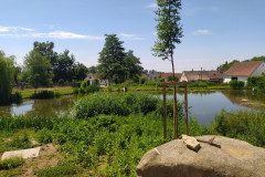 IMG_20220622_114743