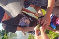 IMG_20220622_120953