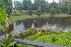 IMG_20220622_165613