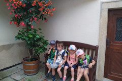 IMG_20220622_165738