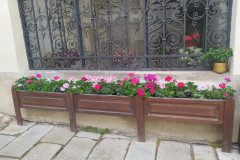 IMG_20220622_170438