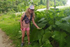 IMG_20220622_173304