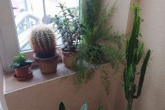 IMG_20220620_103430