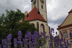IMG_20220620_103917