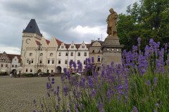 IMG_20220620_103921