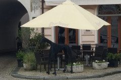IMG_20220620_104203