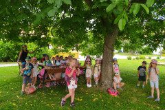 IMG_20220620_145723