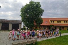 IMG_20220620_150734