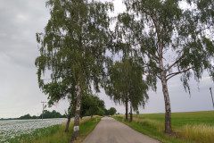 IMG_20220620_152357