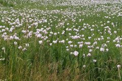 IMG_20220620_152404