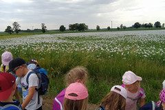 IMG_20220620_152422