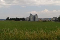 IMG_20220620_152632