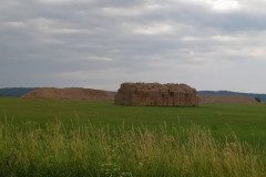 IMG_20220620_152634