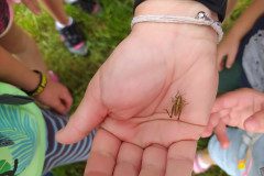 IMG_20220620_153717