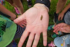 IMG_20220620_153719