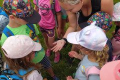 IMG_20220620_153721