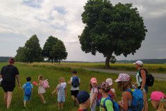 IMG_20220620_153830