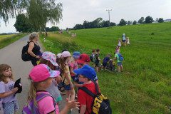 IMG_20220620_154647