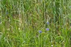 IMG_20220620_155032