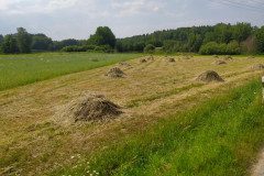 IMG_20220620_155727