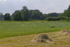 IMG_20220620_155738