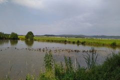 IMG_20220620_155926