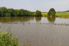 IMG_20220620_155933