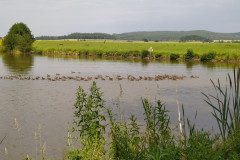 IMG_20220620_155935