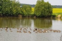 IMG_20220620_160001