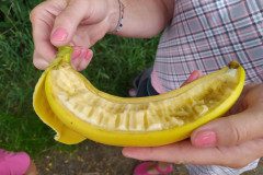 IMG_20220620_160410