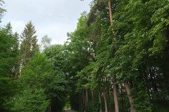 IMG_20220620_162447