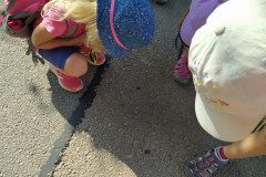 IMG_20220620_171412